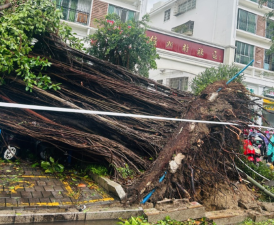 ▲▼「劍魚」狂掃三亞。（圖／翻攝自微博）