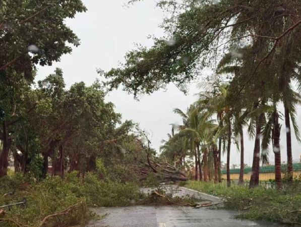 ▲▼「劍魚」狂掃三亞。（圖／翻攝自微博）