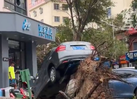 ▲三亞災情。（圖／翻攝自微博，下同）