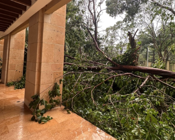▲▼「劍魚」狂掃三亞。（圖／翻攝自微博）