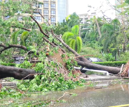 ▲▼「劍魚」狂掃三亞。（圖／翻攝自微博）