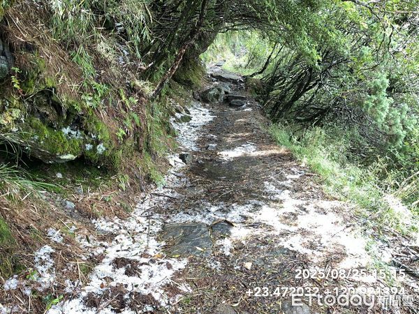 ▲▼玉山「夏日雪景」冰雹大爆發積冰5公分！步道驚人白一片。（圖／玉管處提供）