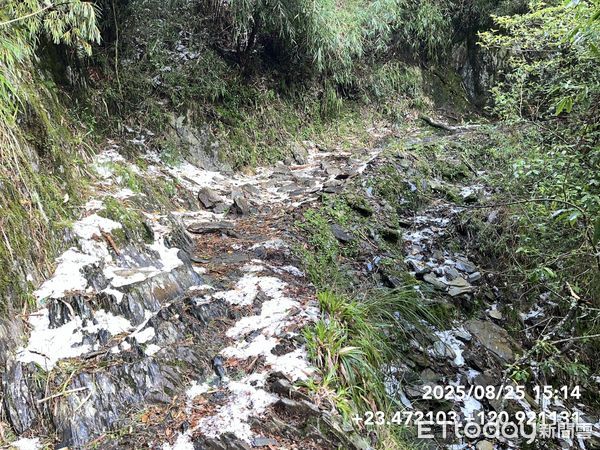 ▲▼玉山「夏日雪景」冰雹大爆發積冰5公分！步道驚人白一片。（圖／玉管處提供）