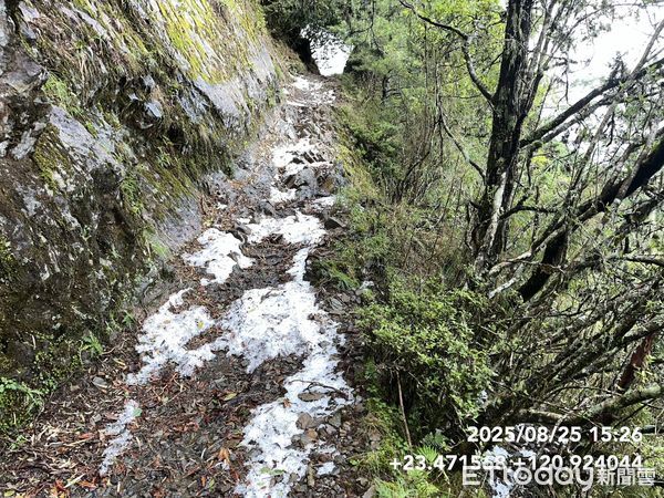 ▲▼玉山「夏日雪景」冰雹大爆發積冰5公分！步道驚人白一片。（圖／玉管處提供）