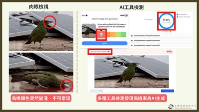 網傳鳥喝光電板紅水暴斃 環境部揪「AI假影片」報檢方追查