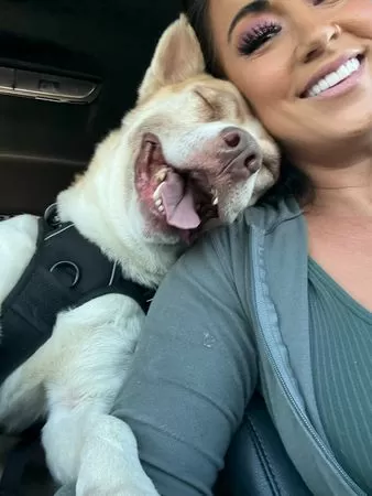 棄養狗瑞奇。（圖／翻攝自臉書Minnie’s Mutts）