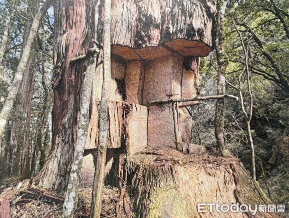 ▲▼        南投檢警林共同捍衛山林瓦解逃逸外籍移工所組成大型盜伐集團     。（圖／記者高堂堯翻攝）