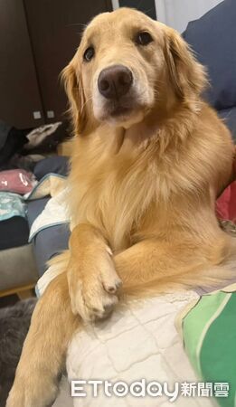 ▲。（圖／Threads@liuliu_bay提供，請勿隨意翻拍，以免侵權。）