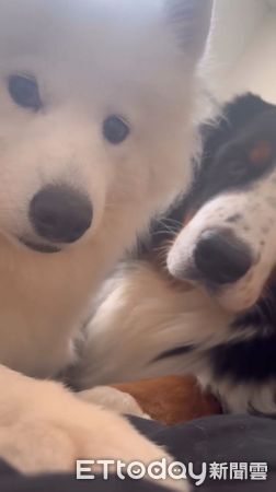 ▲。（圖／Threads@liuliu_bay提供，請勿隨意翻拍，以免侵權。）