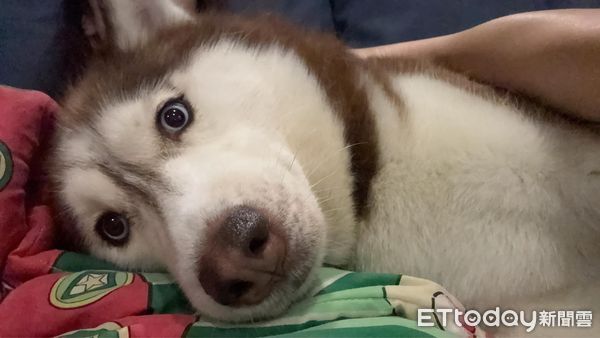 ▲。（圖／Threads@liuliu_bay提供，請勿隨意翻拍，以免侵權。）