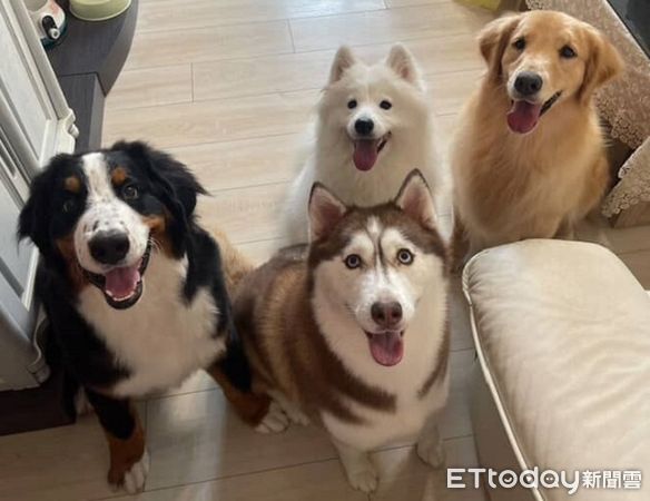 ▲。（圖／Threads@liuliu_bay提供，請勿隨意翻拍，以免侵權。）