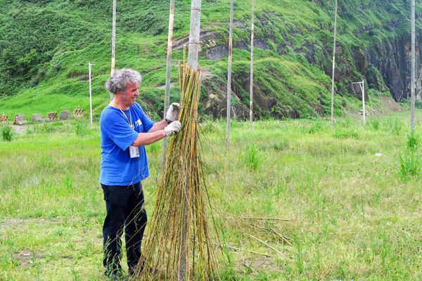 ▲潮境公園打卡地標「掃把救星」將撤下。（圖／海科館提供）