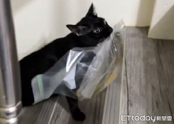 ▲。（圖／Threads@mni_k_提供，請勿隨意翻拍，以免侵權。）