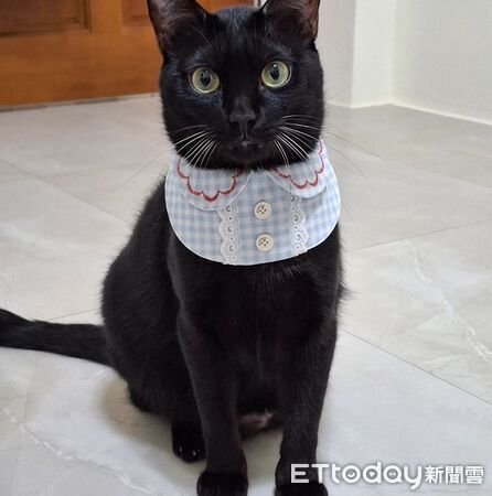 ▲。（圖／Threads@mni_k_提供，請勿隨意翻拍，以免侵權。）