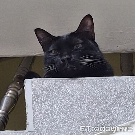 ▲。（圖／Threads@mni_k_提供，請勿隨意翻拍，以免侵權。）