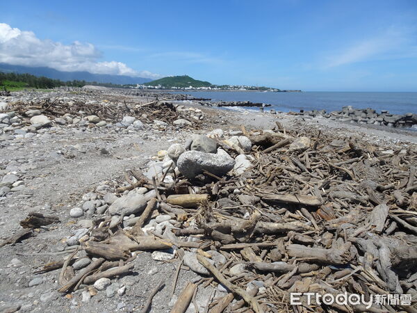 ▲漂流木撿拾規定再放寛。（圖／記者楊晨東翻攝）
