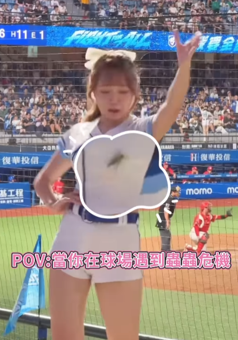 ▲▼栗子。（圖／翻攝自Instagram／chiali_1105）