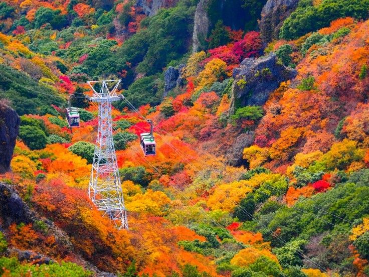 紅葉雷達開啟 克斯蒙、美加東、日本賞楓全攻略（圖／shutterstock）