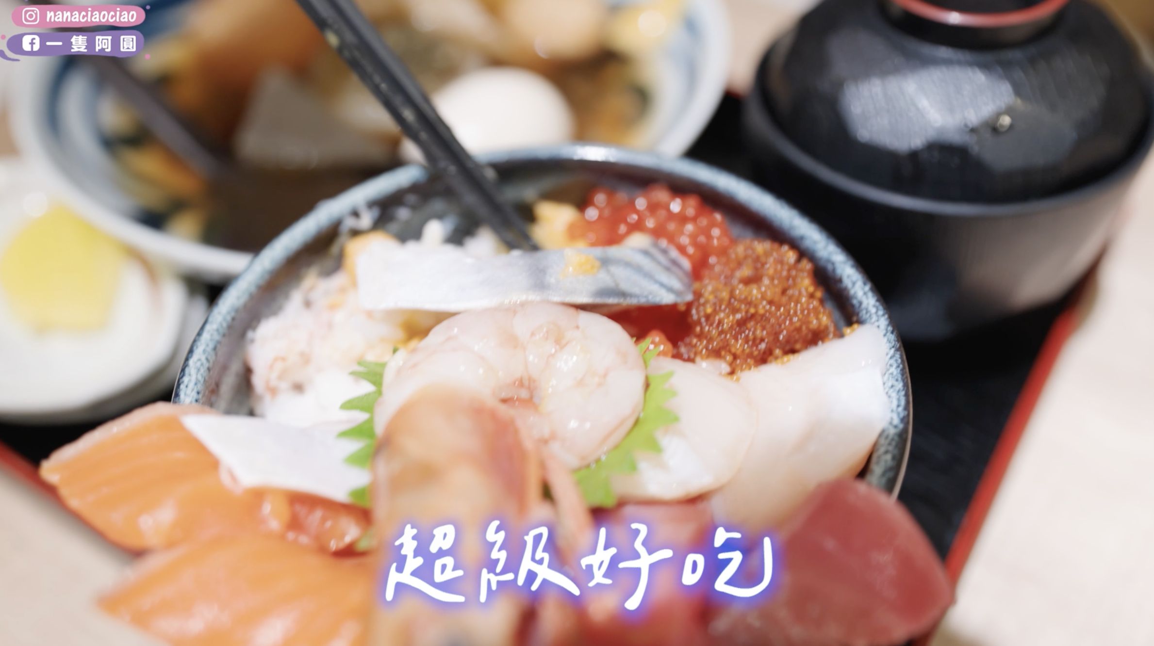 ▲▼ 北海道,一隻阿圓,夏季,樂天,樂天旅遊,訂房,住宿。（圖／擷取自影片）