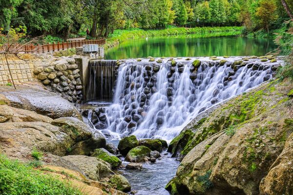 ▲杉林溪今年首次大規模種植波波草，數量達6000棵。（圖／翻攝自Facebook／愛上杉林溪）