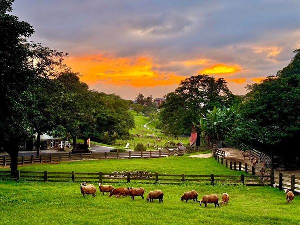 ▲▼苗栗親子景點推薦TOP5。（圖／ReadyGo提供）