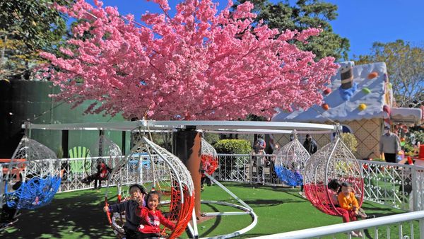 ▲▼苗栗親子景點推薦TOP5。（圖／ReadyGo提供）