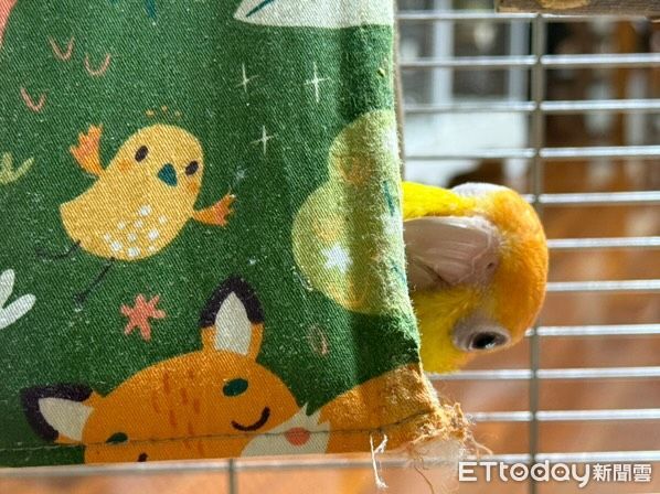 ▲。（圖／Threads@liniling_10提供，請勿隨意翻拍，以免侵權。）