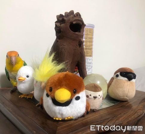 ▲。（圖／Threads@liniling_10提供，請勿隨意翻拍，以免侵權。）