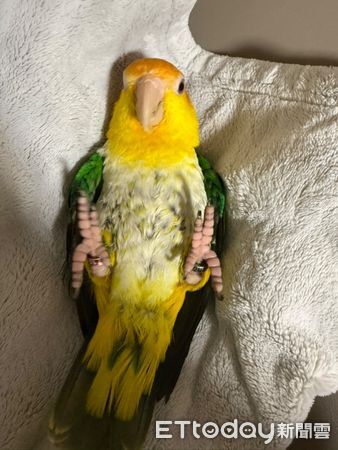 ▲。（圖／Threads@liniling_10提供，請勿隨意翻拍，以免侵權。）