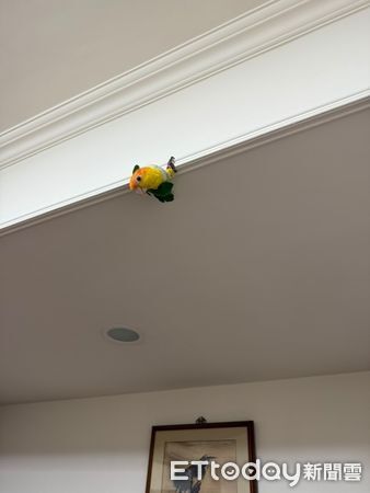 ▲。（圖／Threads@liniling_10提供，請勿隨意翻拍，以免侵權。）