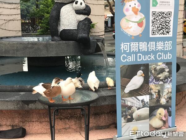 ▲康橋商圈草地音樂節8月30、31日登場，打造暑假尾聲最療癒的親子派對。（圖／記者林東良翻攝，下同）