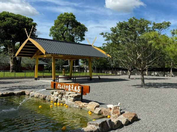 ▲▼開箱8,000坪宜蘭爆紅新景點。（圖／ReadyGo提供）