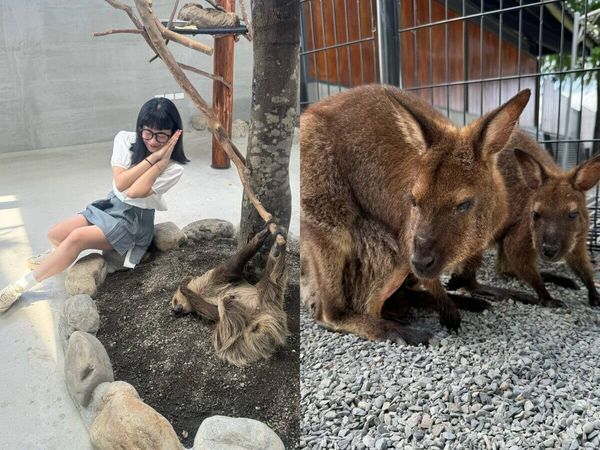 ▲▼開箱8,000坪宜蘭爆紅新景點。（圖／ReadyGo提供）