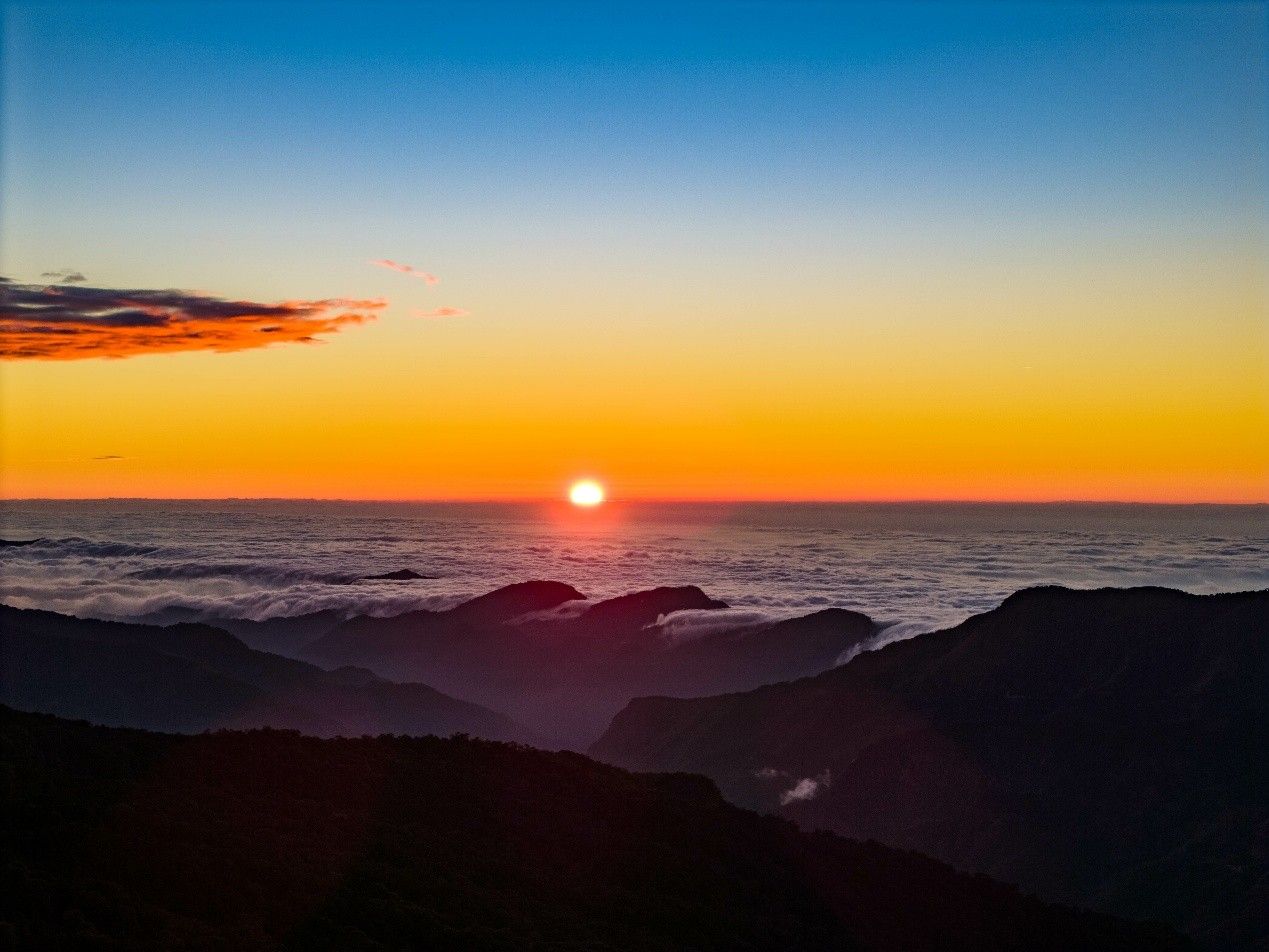 阿里山秋季最Chill玩法，！五奇美景＋秘境路線一次蒐集 不必趕日出，入住英迪格輕鬆暢遊阿里山（圖／阿里山英迪格酒店提供）