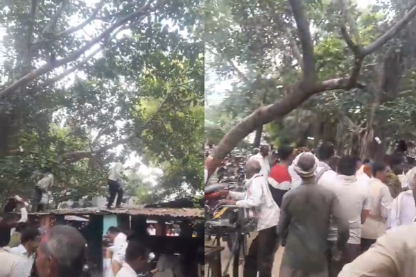 天降鈔票雨！民眾狂搶發現「猴子撒錢」　受害男崩潰：我的8萬元。（圖／翻攝自X）