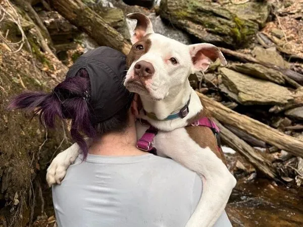 ▲。（圖／翻攝自Tiktok／@radley_barkley）