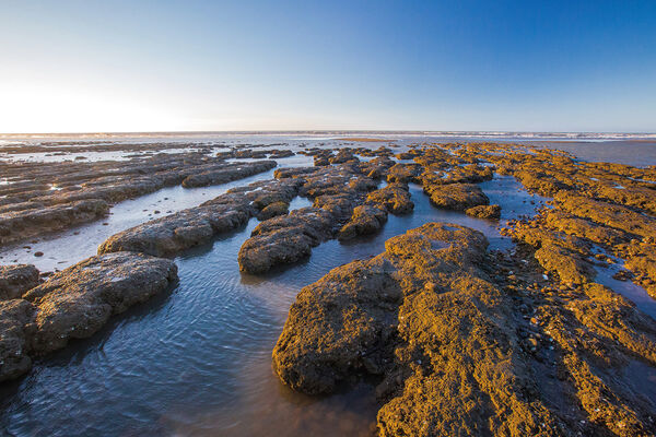 ▲桃園竹圍漁港,許厝港溼地,草漯沙丘,白沙岬燈塔,觀新藻礁,百年石滬。（圖／桃園市觀旅局提供）