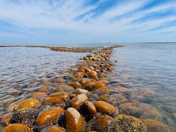 ▲桃園竹圍漁港,許厝港溼地,草漯沙丘,白沙岬燈塔,觀新藻礁,百年石滬。（圖／桃園市觀旅局提供）