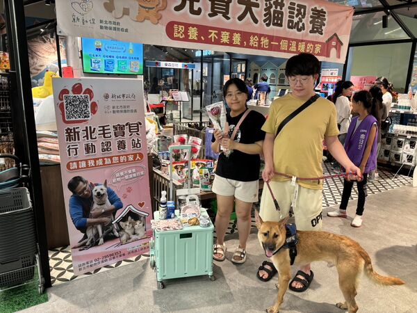 ▲新北動保認養會送嫁妝 助毛寶貝告別流浪。（圖／新北市動保處提供）