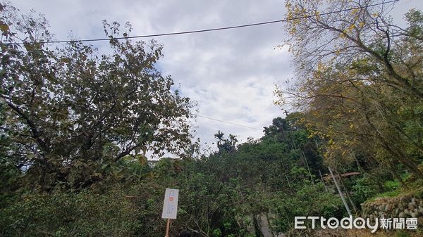 ▲▼彰化分署9月2日法拍多處土地。（圖／記者唐詠絮翻攝）