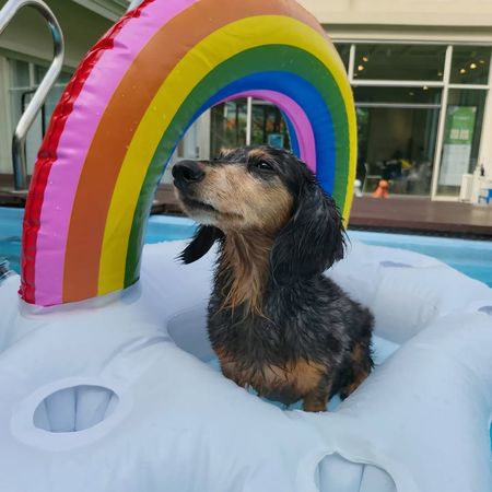 ▲▼鐘鉉,Roo,星露。（圖／翻攝自Instagram）