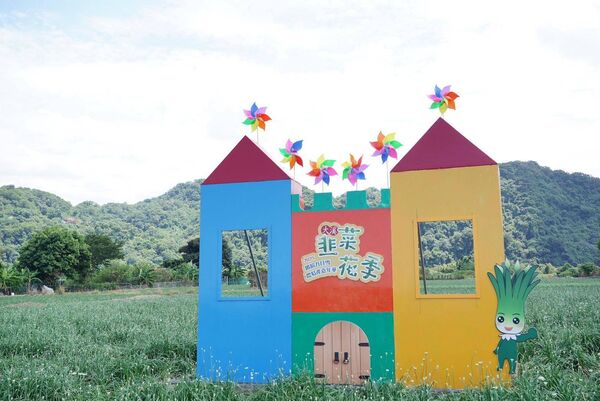 ▲大溪韭菜花今（29日）花況約3成，有5大裝置免費拍。（圖／桃園市農業局提供）