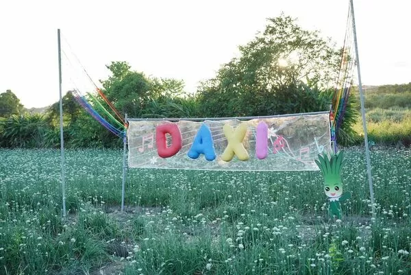 ▲大溪韭菜花今（29日）花況約3成，有5大裝置免費拍。（圖／桃園市農業局提供）