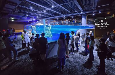 開箱台中水族館細節！全台首創360度開放式企鵝缸　珊瑚寶盒必拍