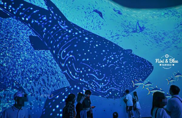 ▲▼台中海洋館。（圖／部落客NINI AND BLUE 玩樂食記授權提供）