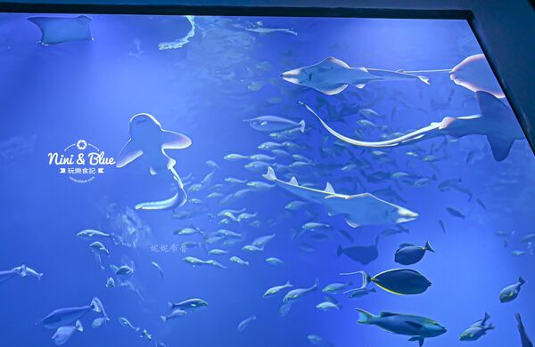 ▲▼台中海洋館。（圖／部落客NINI AND BLUE 玩樂食記授權提供）