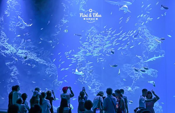 ▲▼台中海洋館。（圖／部落客NINI AND BLUE 玩樂食記授權提供）