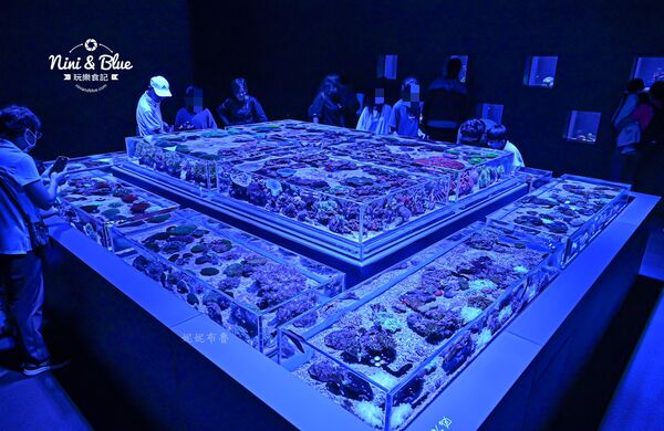▲▼台中海洋館。（圖／部落客NINI AND BLUE 玩樂食記授權提供）