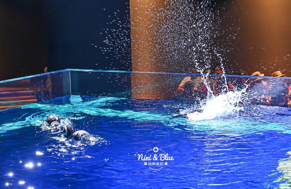 ▲▼台中海洋館。（圖／部落客NINI AND BLUE 玩樂食記授權提供）