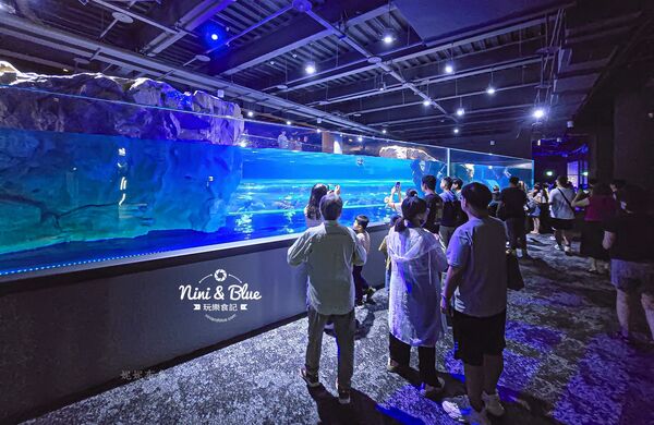 ▲▼台中海洋館。（圖／部落客NINI AND BLUE 玩樂食記授權提供）